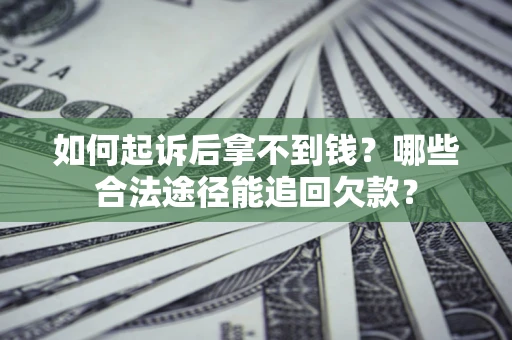武汉如何起诉后拿不到钱？哪些合法途径能追回欠款？