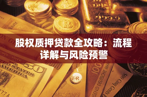 武汉股权质押贷款全攻略：流程详解与风险预警