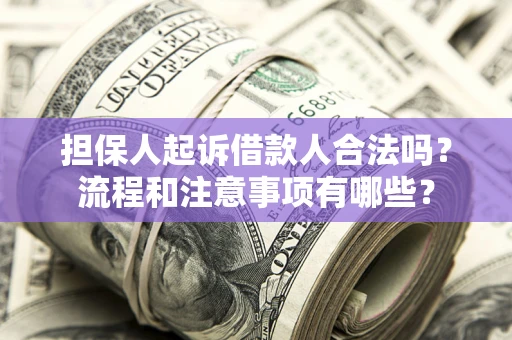 武汉担保人起诉借款人合法吗？流程和注意事项有哪些？