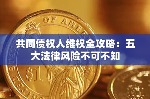 武汉共同债权人维权全攻略：五大法律风险不可不知