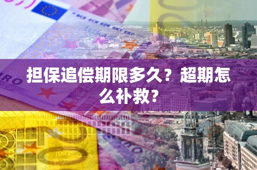 武汉担保追偿期限多久？超期怎么补救？