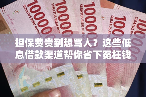 武汉担保费贵到想骂人？这些低息借款渠道帮你省下冤枉钱