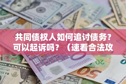 武汉共同债权人如何追讨债务？可以起诉吗？（速看合法攻略）