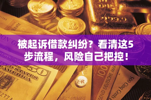 武汉被起诉借款纠纷？看清这5步流程，风险自己把控！