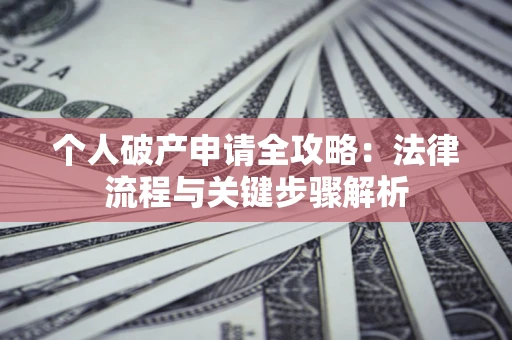 武汉个人破产申请全攻略：法律流程与关键步骤解析