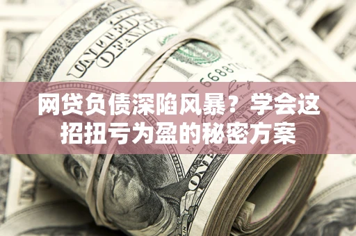 武汉网贷负债深陷风暴？学会这招扭亏为盈的秘密方案